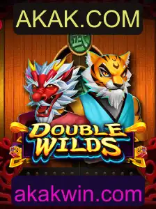 Explorando o Mundo de DoubleWilds: Um Jogo Inovador de AKAK.COM
